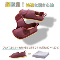 竹虎 転倒予防シューズつま先つき あずき 3L 091276 1足