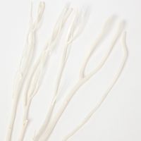 リードスティック(Twig)5点セット ホワイト LAKOLE/ラコレ