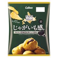 60gじゃがいも感。あじわい北海道昆布しょうゆ味 6袋 カルビー ポテトチップス スナック菓子