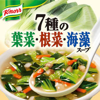 味の素 クノール 7種の葉菜・根菜・海藻スープ 1袋（5食入）（わけあり品）
