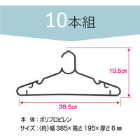 ミズムジャパン MISM ecoなハンガー 10本組 1組（直送品）