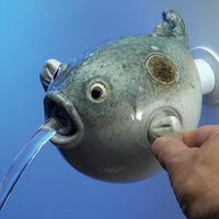 カクダイ 雑魚とは違うのだよ 711-060-13 1個（直送品）