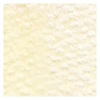 ホルベイン アーチスト色鉛筆 OP116 アイボリー (20116) 4900669201168 1本（直送品）