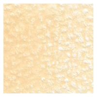 ホルベイン アーチスト色鉛筆 OP122 ジョンブリアン (20122) 4900669201229 1本（直送品）