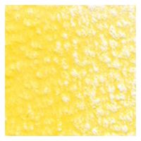 ホルベイン アーチスト色鉛筆 OP134 ネイプルスイエロー (20134) 4900669201342 1本（直送品）