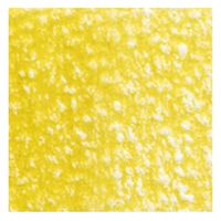 ホルベイン アーチスト色鉛筆 OP165 マスタード (20165) 4900669201656 1本（直送品）