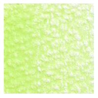 ホルベイン アーチスト色鉛筆 OP222 レタスグリーン (20222) 4900669202226 1本（直送品）