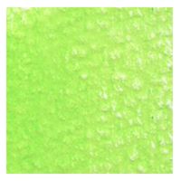 ホルベイン アーチスト色鉛筆 OP243 フレッシュグリーン (20243) 4900669202431 1本（直送品）