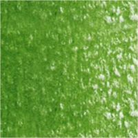 ホルベイン アーチスト色鉛筆 OP262 サップグリーン (20262) 4900669202622 1本（直送品）