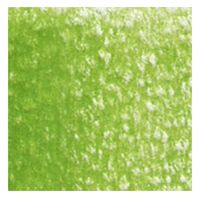 ホルベイン アーチスト色鉛筆 OP291 リーフグリーン (20291) 4900669202912 1本（直送品）