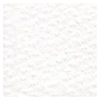 ホルベイン アーチスト色鉛筆 OP500 ホワイト (20500) 4900669205005 1本（直送品）