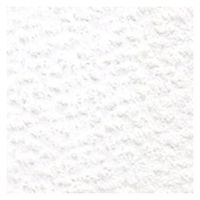 ホルベイン アーチスト色鉛筆 OP501 ソフトホワイト (20501) 4900669205012 1本（直送品）