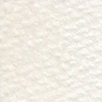 ホルベイン アーチスト色鉛筆 OP521 ウォームグレイ No1 (20521) 4900669205210 1本（直送品）