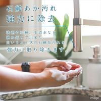 カンペハピオ 復活洗浄剤 ステンレスシンククリーナー 100ML 17660142100 1個（直送品）