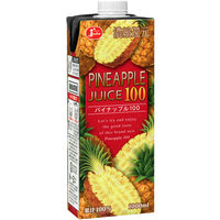 ジューシー パイナップル100 1000ml（1L）1箱（6本入）