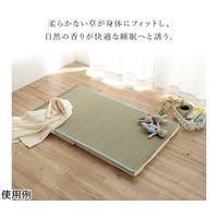 イケヒコ・コーポレーション い草シーツ ブルー ベビーサイズ 約70×120cm 67-5723-28 1個（直送品）