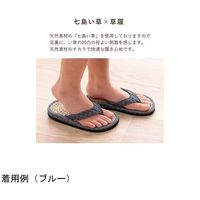 イケヒコ・コーポレーション 子供用七島い草 草履 オレンジ 20cm(適応サイズ16~18cm) 67-5723-23 1個（直送品）