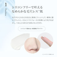 naturaglace（ナチュラグラッセ） ポアレス スムースプライマーＮ 20g ネイチャーズウェイ