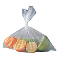 おトクな！保存用ポリ袋 L 透明 食品保存や整理に 380×320mm 厚さ0.02mm 1パック（100枚入）日本サニパック（わけあり品）