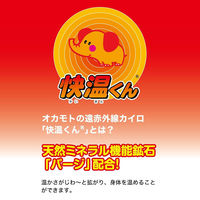 はらない快温くんミニ30コ入 カイロ 防寒 寒さ対策 暖かい 防災 備蓄 小さめ 4547691669711 1箱(1個(30枚入)x16)（直送品）