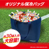 大正製薬 リポビタン　アイススラリー ハニーレモン風味 30個 保冷バッグ付きセット 1セット