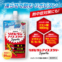 大正製薬　リポビタン　アイススラリー　ソルティライチ風味 120g　12個