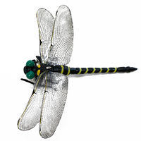 【虫よけ】高芝ギムネ イヤ～な虫の天敵 オニヤンマ兄弟 3Way Mー55 1個