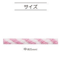 清原 カラーひもプラス ツイスト 25M巻 CHPT-25M_BE ベージュ 1巻25M（直送品）