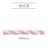 清原 カラーひもプラス ツイスト 25M巻 CHPT-25M_LV ラベンダー 1巻25M（直送品）