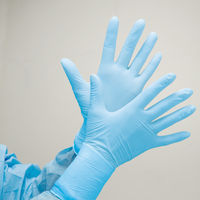 オオサキメディカル ニトリルグローブ I ブルー L 70122 一般医療機器　粉なし　使い捨て手袋　1箱（200枚入）