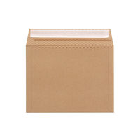 HEIKO 紙製クッション付き宅配平袋 茶 260×200mm 封かんシール付 1セット（1袋（10枚入）×5） 004192025