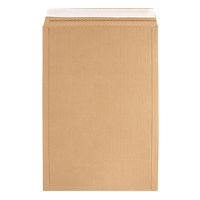 HEIKO 紙製クッション付き宅配平袋 茶 320×460mm 封かんシール付 1セット（1袋（10枚入）×10） 004192029