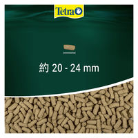 テトラ レプトミン カメ用フード 汚れブロック 超大粒 200g 1個 スペクトラムブランズジャパン