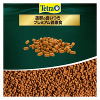 テトラ レプトミン スーパー カメ用フード 大粒 260g 1個 スペクトラムブランズジャパン