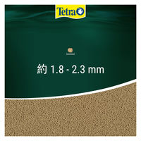 テトラ レプトミン カメ用フード 汚れブロック 小粒 70g 1個 スペクトラムブランズジャパン