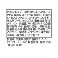メロディアン ゼロカロリーシロップ 1袋（20個入）　ポーション　ガムシロップ