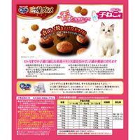 銀のスプーン 三ツ星グルメ 健康に育つ子ねこ用 お魚レシピ 国産 240g（20g×12袋）キャットフード ドライ（わけあり品）
