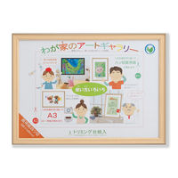 大仙 みんなの画用紙額 四ツ切判 ナチュラル D48104401 1枚