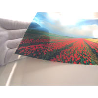 和紙のイシカワ スーパークリアフィルム 610mm×20m巻 WA013-610 1本