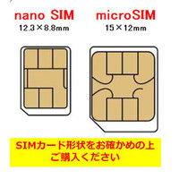 トレミール ドコモエリア対応nanoSIM/初月+12ヶ月/月間10GB DSIMN-10A13K（直送品）