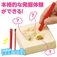 アーテック ドキドキ！宝石の原石採掘体験 56908（直送品）