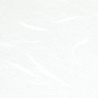 コクヨ カラーレーザー&インクジェット用紙 和紙 厚口両面印刷用 A4 1 KPC-W1310 1セット(20枚:10枚入×2袋)