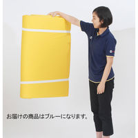 三和製作所 抗菌・抗ウイルス 軽量ウレタンマットレス 00261637（直送品）