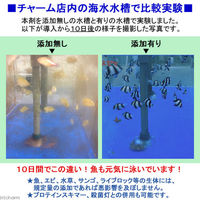 小笠原海藻研究会 ゲルマニウムパワー NEW茶ゴケしらず 淡水・海水両用 500ml 10000L分 茶ゴケ 対策 173689 1個（直送品）