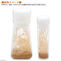 REPASHY（レパシー） スーパーフード スーパーフライ 17.6oz 500g 爬虫類 生餌育成用品 180814 1個（直送品）