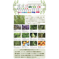 A.P.D.C. ティートリーコンディショナー 業務用 5L 犬 コンディショナー 184123 1個（直送品）