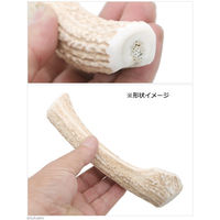 Leaf Corporation（リーフコーポレーション） 鹿の角 白 ロング 1本 長さ15～20cm前後 196360 1個（直送品）