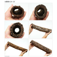 Leaf Corporation（リーフコーポレーション） 天然素材 パコツリー S 長さ350～600mm 内径40～59mm 375186 1個（直送品）