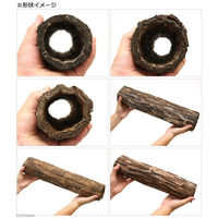 Leaf Corporation（リーフコーポレーション） 天然素材 パコツリー M 長さ350～600mm 内径60～89mm 375187 1個（直送品）