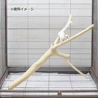 リーフ (大型)天然素材の大きな止まり木 L 土台なし フィリピン産天然木 形状お任せ 376558 1個（直送品）